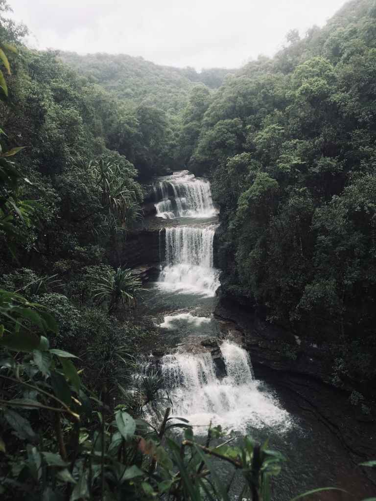 waterfalls surrounded by trees
