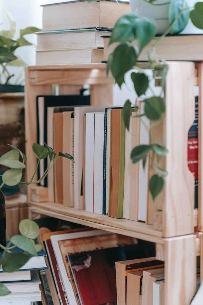 stack of books on shelves at home