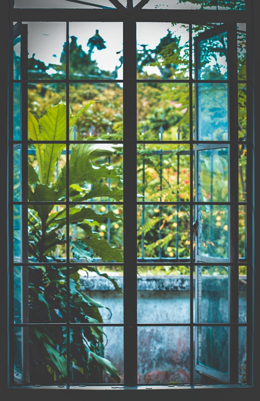 open black metal framed clear glass window near plants