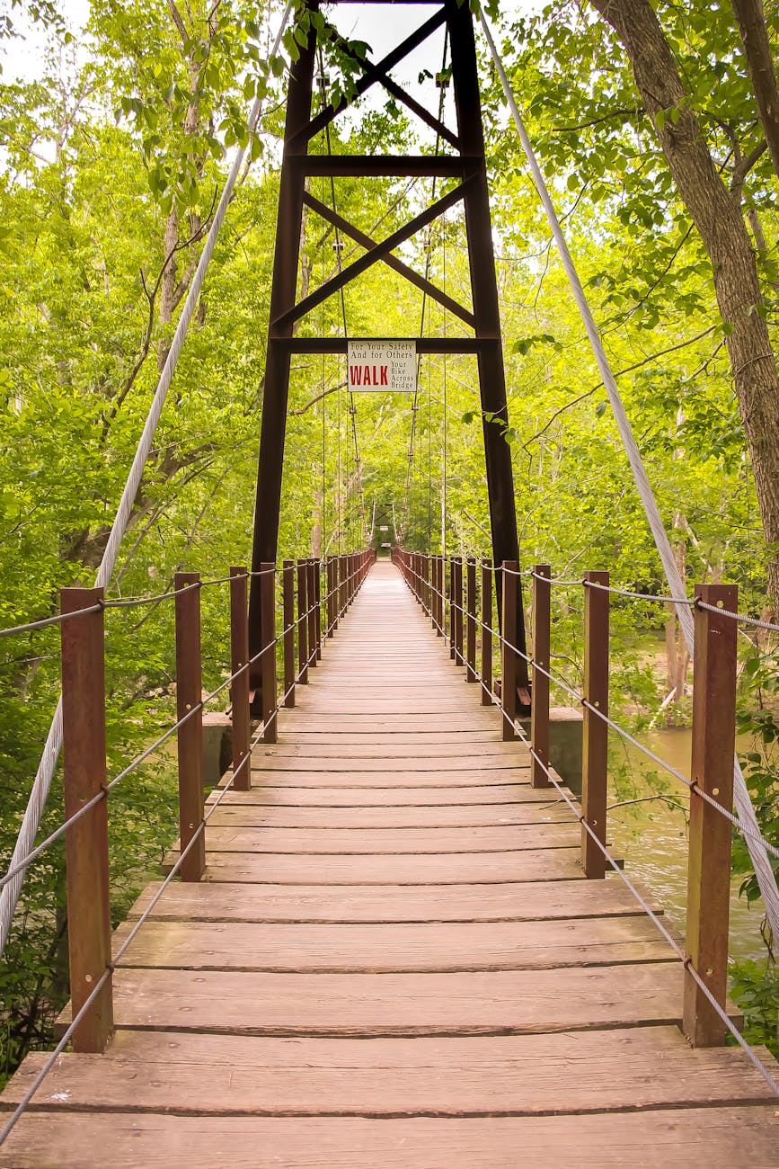 brown wooden foot bridge surrounded by trees