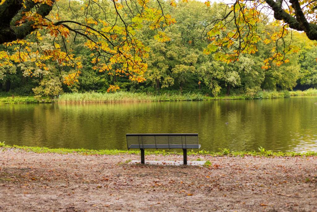 serene autumn park with bench in den haag
