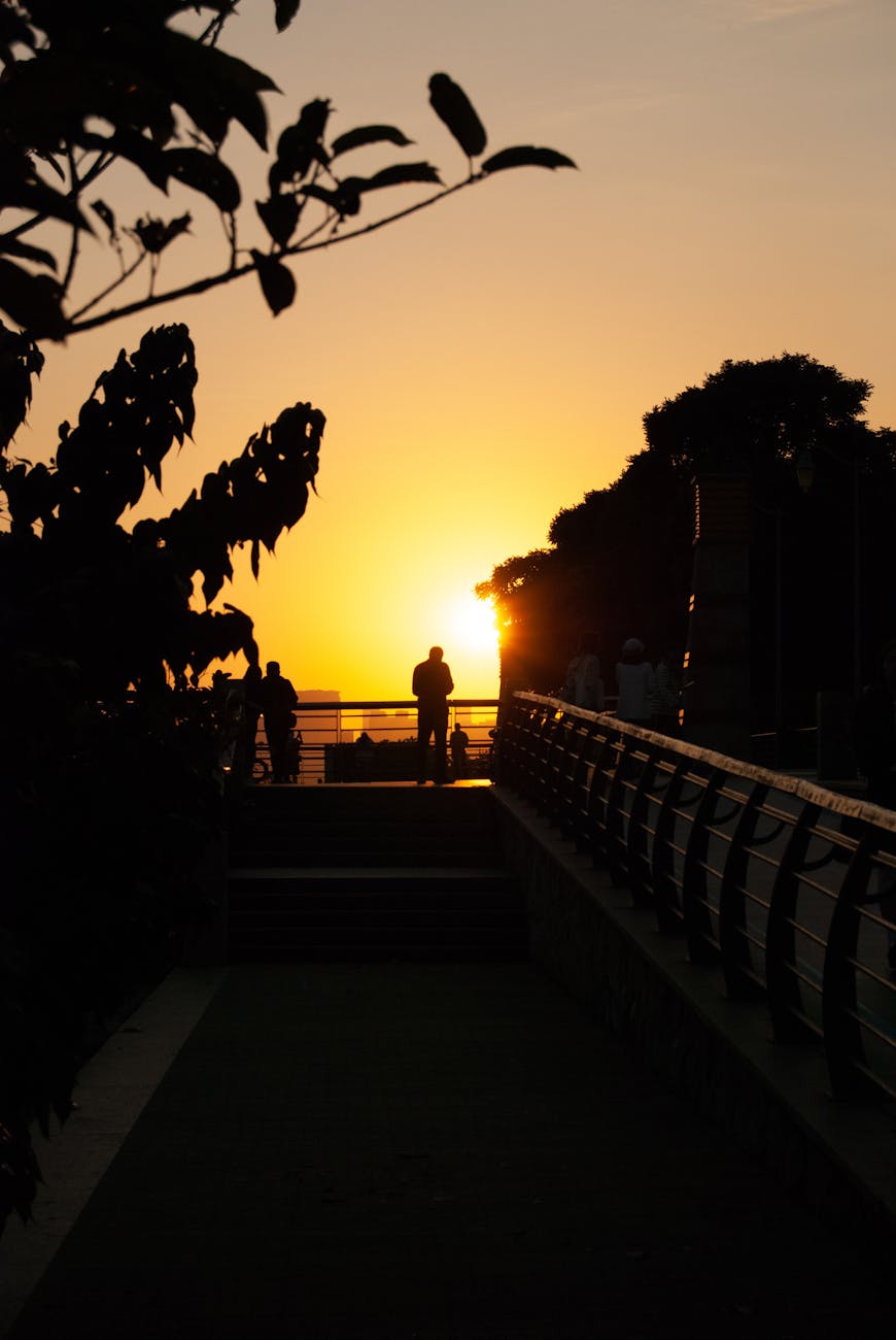 silhouettes at sunset on shenzhen boardwalk