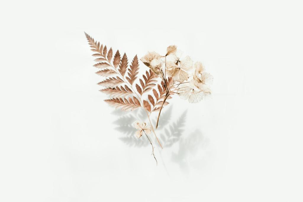 brown fern leaves