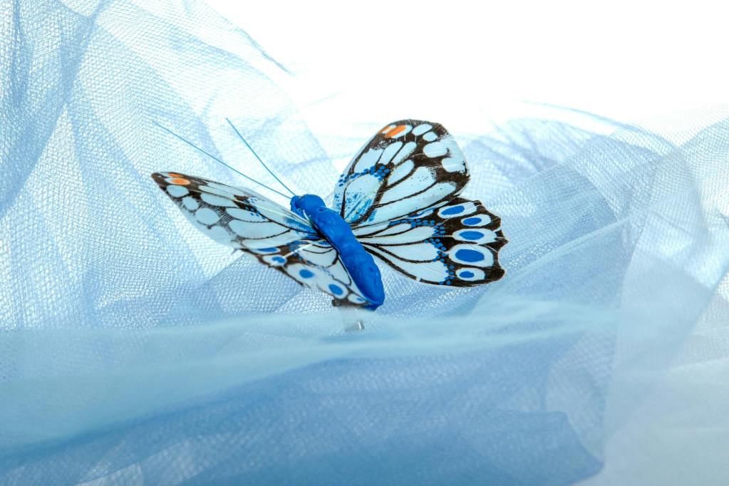 blue butterfly on light blue fabric background