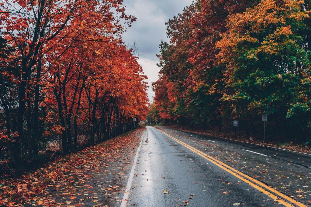 wide angle photo of road