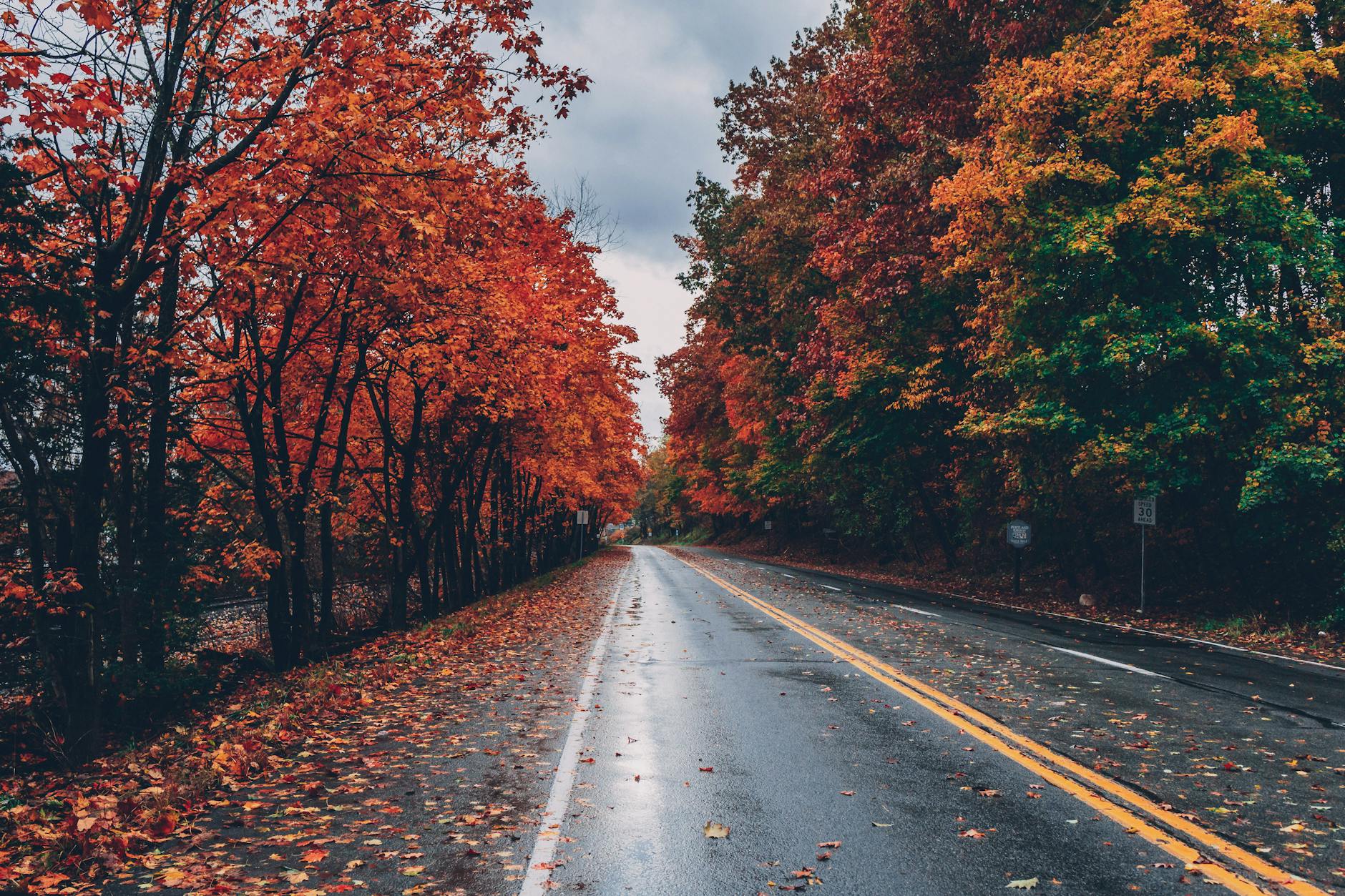 wide angle photo of road