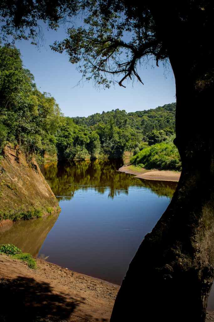 serene river bend in lush forest landscape