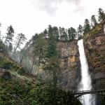 【評論雜文】150號