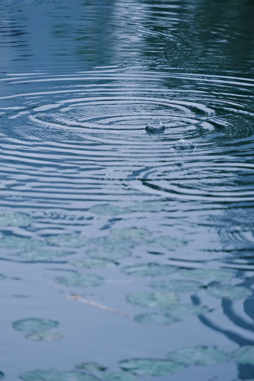 calm water surface with ripple effect and lily pads