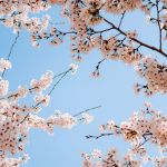【新詩天地】第一百六十二號