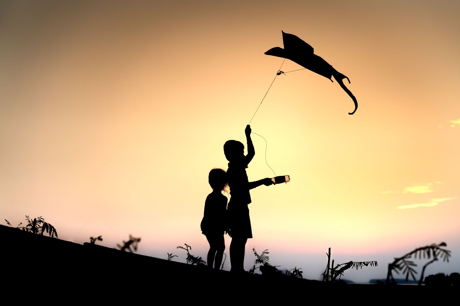 silhouette of boy and a girl playing with a kite