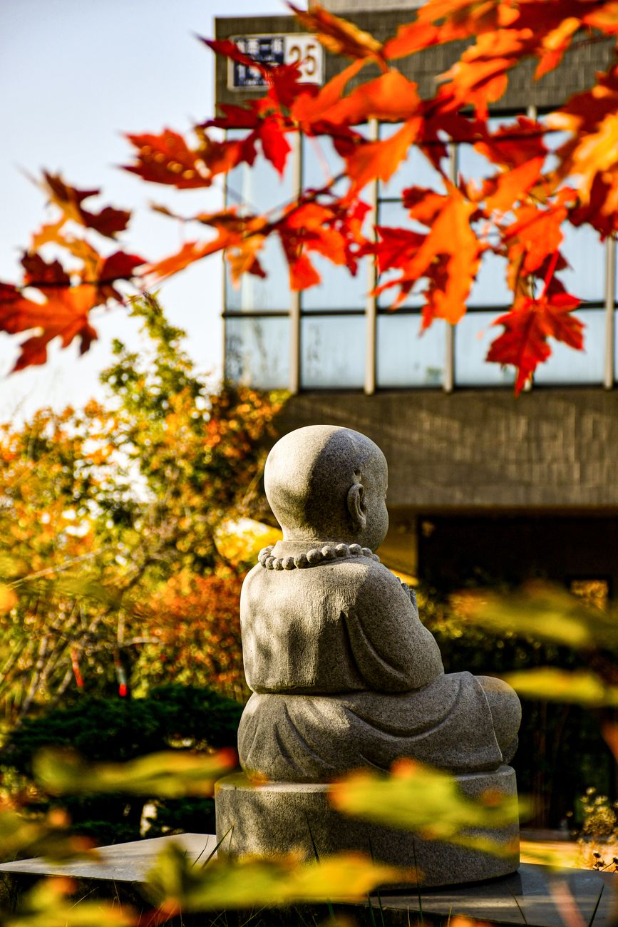 a buddha statue during fall