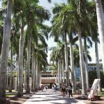 女兒去東部上大學（曉霜）